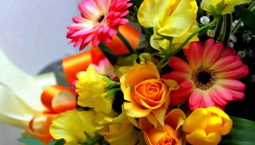 25% off all bouquets all weekend only at Blossoming Gifts – Blossoming Flowers and Gifts Voucher Code
